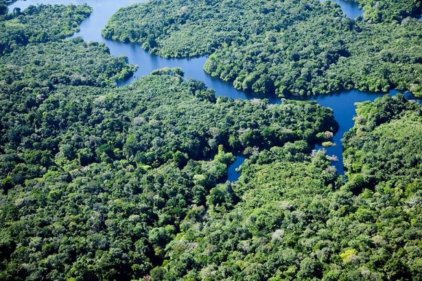 アマゾン川の地下にはもう一つ巨大な河がある⁉ （C）空／PIXTA