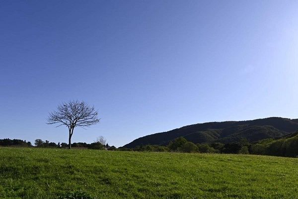 【北海道浦河町】引退馬たちの魂が安らかに還る「うまのふるさと」創設を目指し、クラファン実施中！
