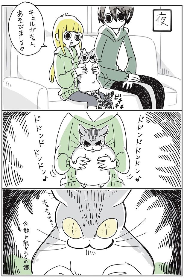 夜には… （C）キュルZ／KADOKAWA