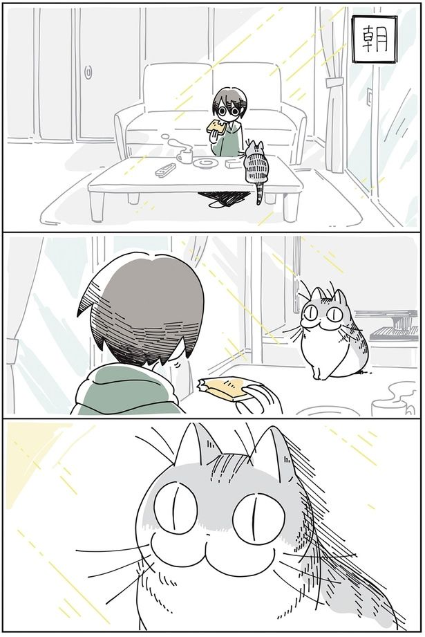 朝の様子 （C）キュルZ／KADOKAWA