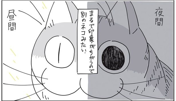 まるで印象が違う （C）キュルZ／KADOKAWA