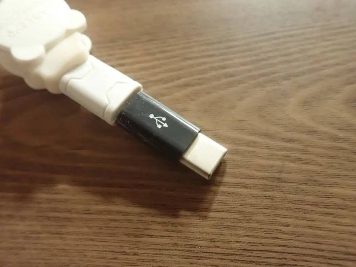 DAISO(ダイソー)：microB→Type-C変換アダプタ