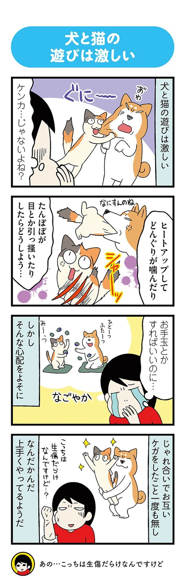 ケンカ…じゃないよね？ （C）宮路ひま／KADOKAWA