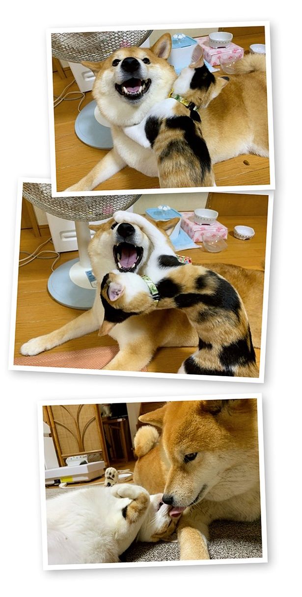 スッと終わる （C）宮路ひま／KADOKAWA