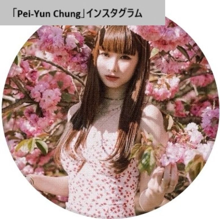 米ニューヨークのレストランで無銭飲食を繰り返したインフルエンサーが逮捕・収監される ※「Pei‐Yun Chung」インスタグラム width=