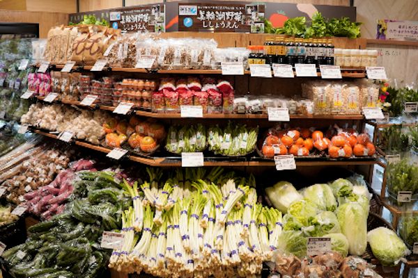 【滋賀県守山市】地域の新たな情報発信拠点誕生！平和堂がJR守山駅前に「フレンドタウン守山」をOPEN