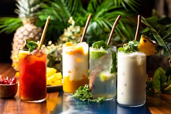 【東京都新宿区】西新宿にエスニックカフェ＆バル「CALDO PARADISO」誕生！おしゃれ空間で多彩なメニューを楽しもう