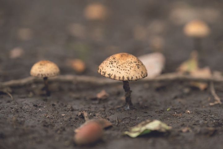 冬キャンプを楽しむライダー必見！鍋料理と焚き火で温まる贅沢時間｜マヒトが行く