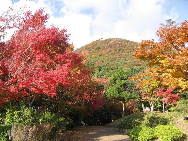 朝日山展望台からの景色/国上山の紅葉 画像提供：燕市産業振興部観光振興課