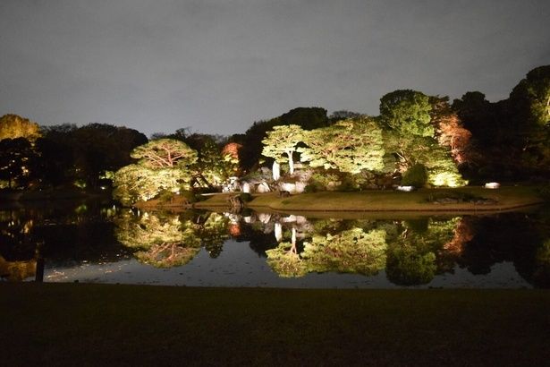 六義園夜間特別観賞(中の島)/六義園の紅葉 画像提供：公益財団法人東京都公園協会