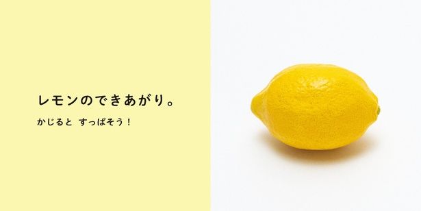 木彫りのレモンを見て「え？ このレモンは本物だよ」と疑うこともなく言う息子