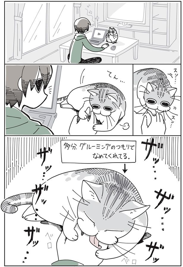 ザッザッ… （C）キュルZ／KADOKAWA