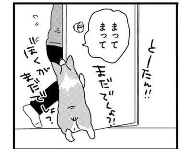 帰宅後、トイレへ直行する飼い主。かまってほしい愛犬の静かなアピール (C)らくだ／KADOKAWA