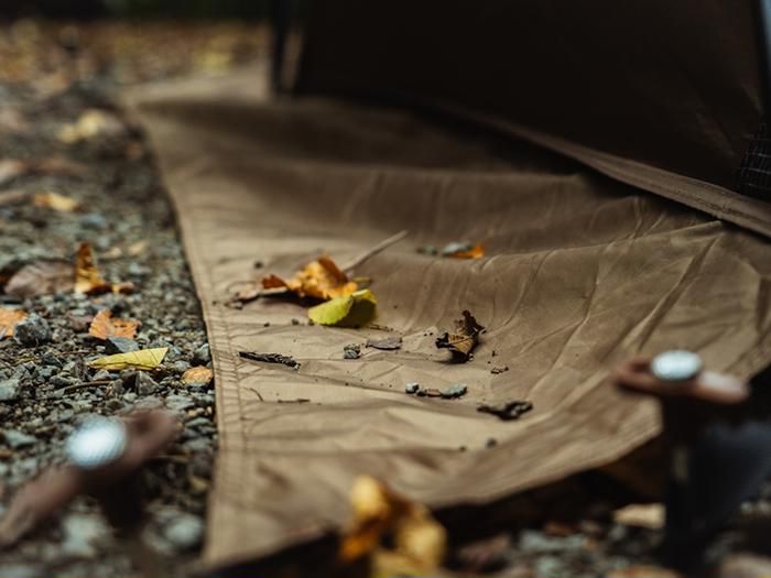 ガシーンドーム