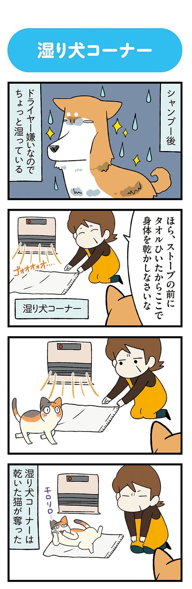 シャンプー後 （C）宮路ひま／KADOKAWA