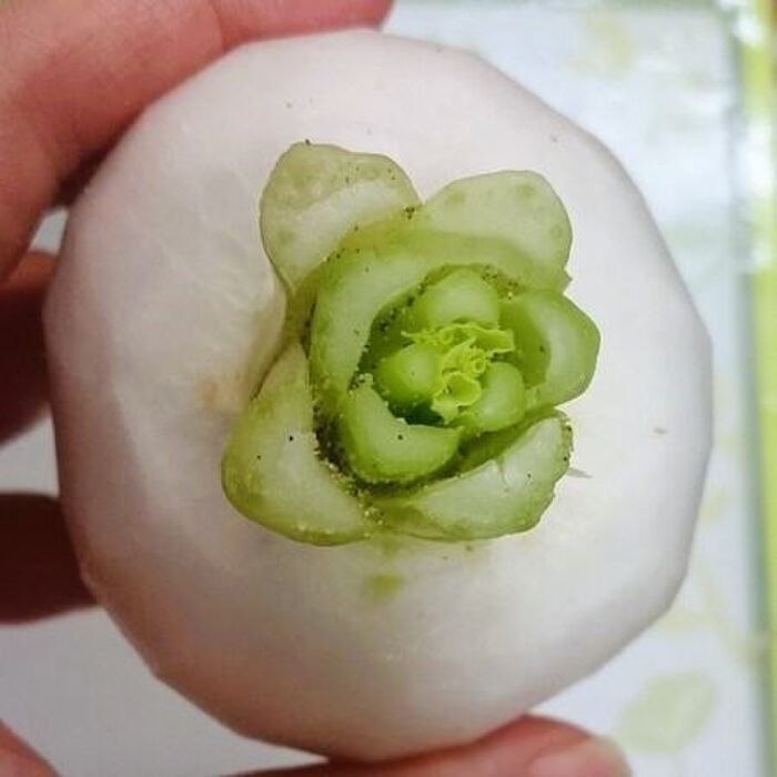 「かぶ」の茎の間に入っている土を取る方法。