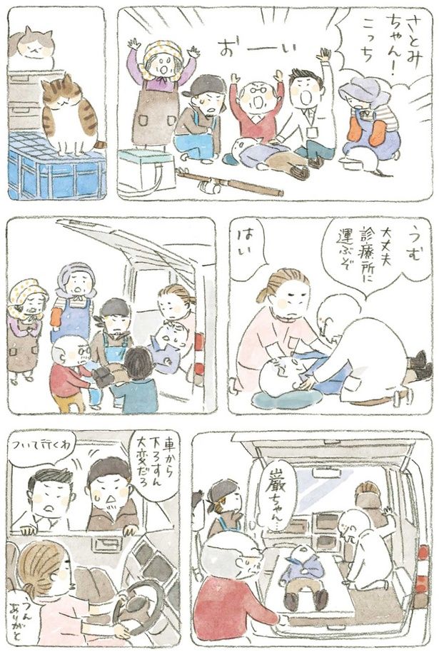 大丈夫 診療所に運ぶぞ （C）ねこまき（ミューズワーク）／KADOKAWA