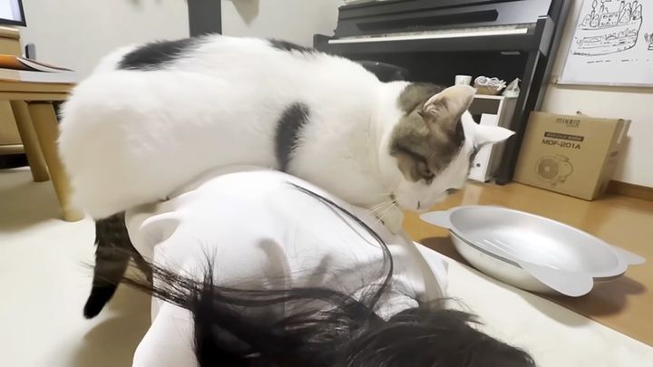 お姉ちゃんの背中に爪を立てる猫