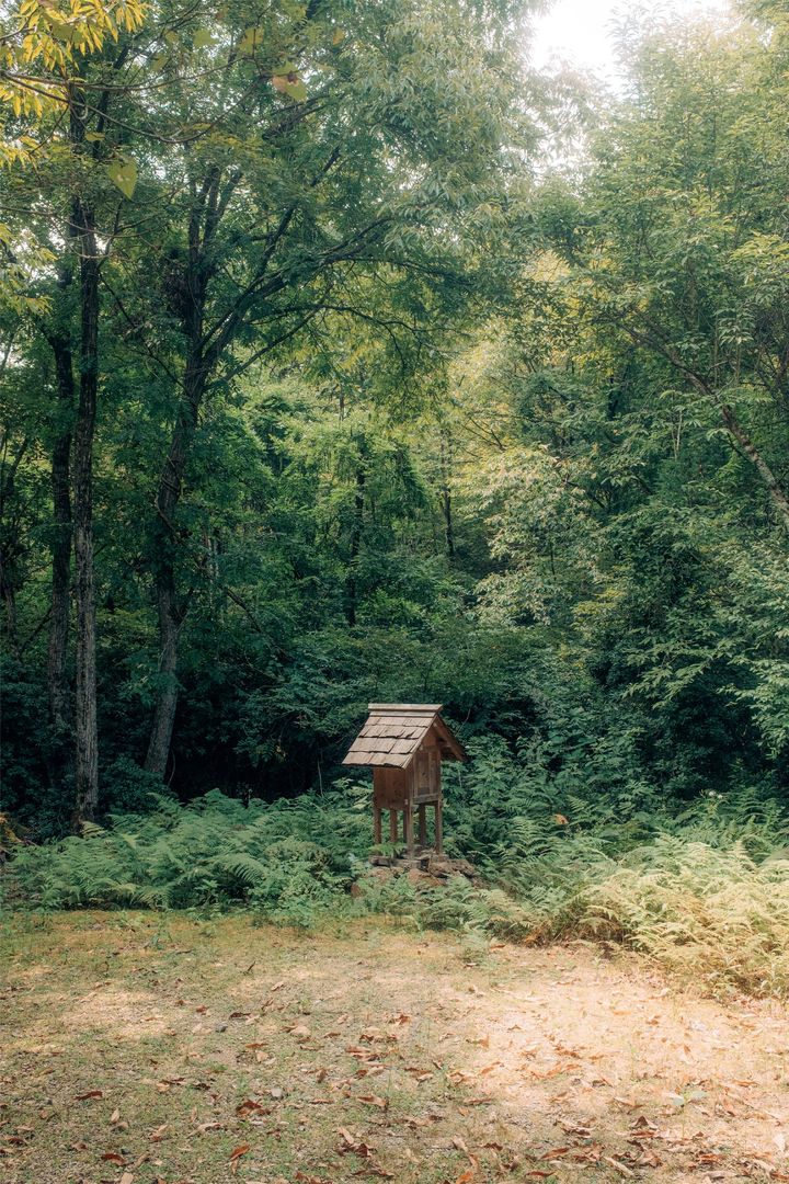 工藝の森の奥にある祠のようなカメラオブスキュラと覗くと見える景色。カメラオブスキュラは京都へ移住したフォトグラファー外山亮介作。