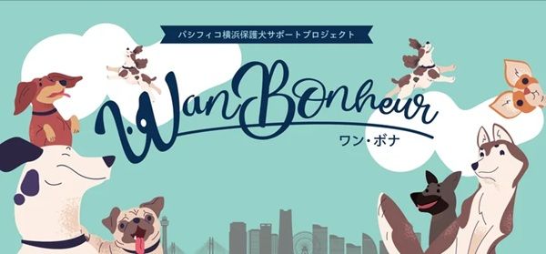 【神奈川県横浜市】「Wan Bonheur 2026」開催決定。たくさんの保護犬と出会えるイベント！