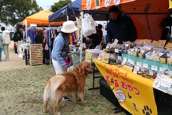 【神奈川県横浜市】「Wan Bonheur 2026」開催決定。たくさんの保護犬と出会えるイベント！