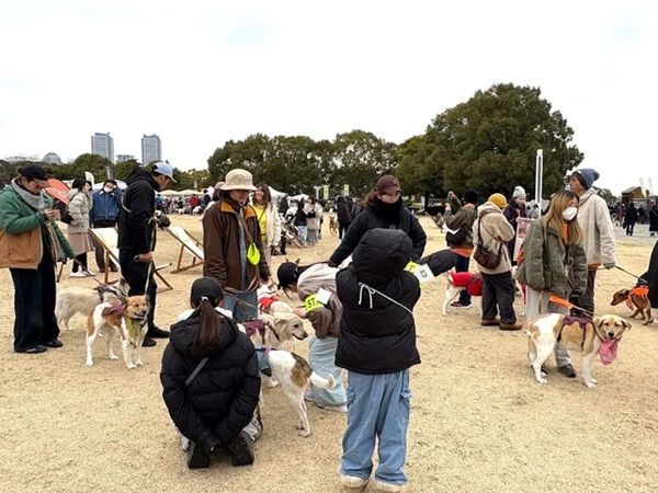 【神奈川県横浜市】「Wan Bonheur 2026」開催決定。たくさんの保護犬と出会えるイベント！