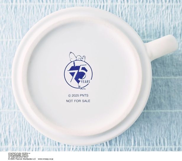 底面には75周年記念ロゴが！細部までこだわり抜いた特別仕様