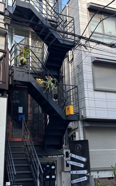 ビカクショップ ビカクショップ | アサイーボウルとビカクシダのお店 (@bikakushop