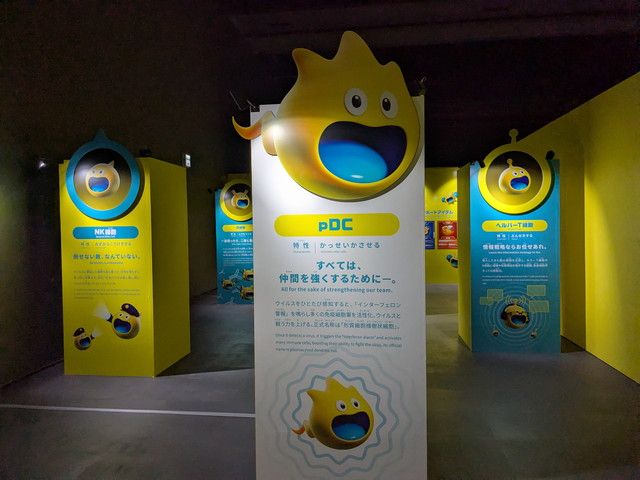 免疫の司令塔pDCなど免疫細胞キャラクターが並ぶ展示エリア