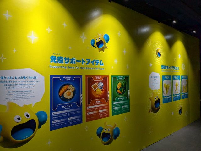 免疫を支える食事や生活習慣を紹介する免疫サポートアイテムのパネル