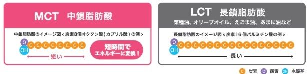 中鎖脂肪酸(MCT)は長鎖脂肪酸(LCT)に比べて構造が短く、短時間でエネルギーに変換されやすい