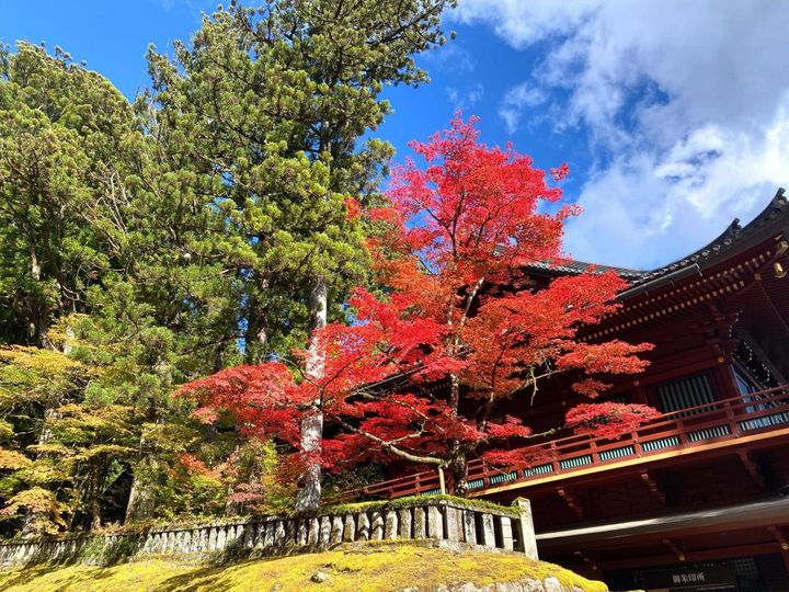 日光東照宮の彫刻そのまま！写真に撮りたくなる「日光みしまや」の人形焼【旅するデザイナーがおすすめするお土産たち！】