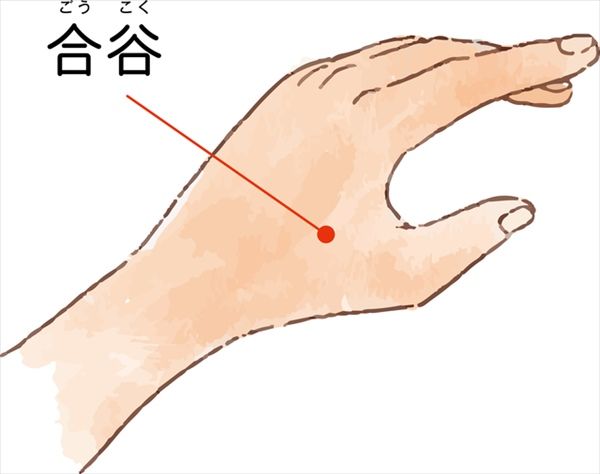 便秘に効くツボ「合谷（ごうこく）」