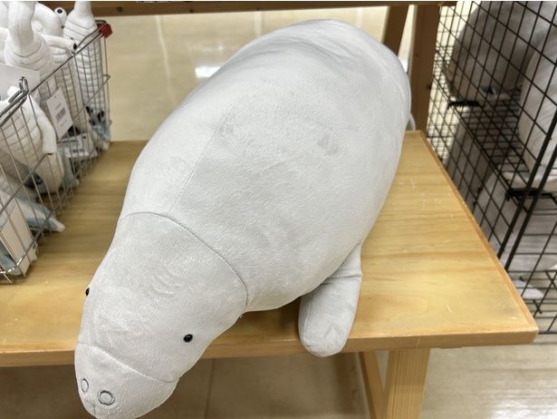 全長80センチ以上のステラーダイカイギュウぬいぐるみ(大きなサイズ・6600円)