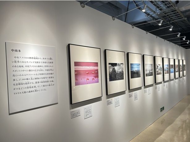 それぞれの写真の下には福山雅治さんが付けたキャプションも紹介されている