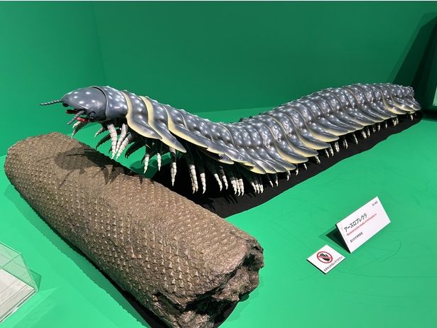 アースロプレウラ(復元模型) 国立科学博物館蔵