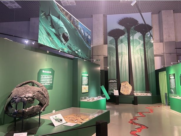 第2の大量絶滅後に陸上で反映した巨大な木(ワッティエザ)の化石が日本初公開！高木のイラストも一緒に展示されており、その大きさを体験できる