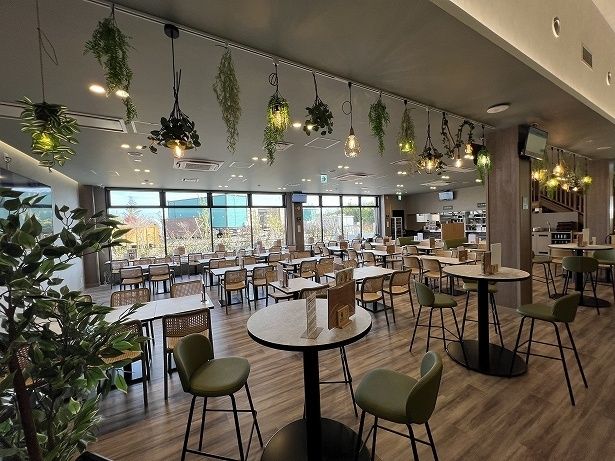 広々としたレストランにはボックス席やカウンター席もある