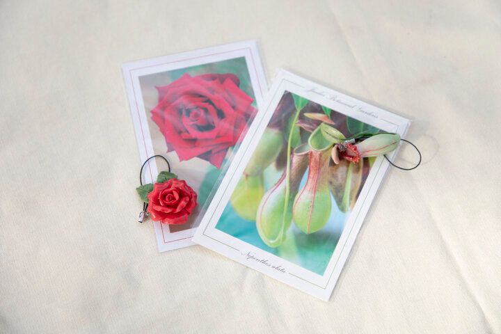 紅葉とバラが見頃♪深大寺・神代植物公園のカフェ「グリーンサロン」で癒しのひととき