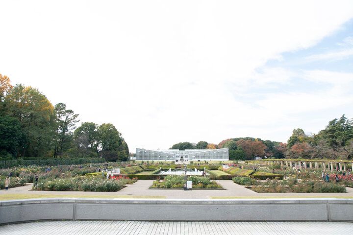 紅葉とバラが見頃♪深大寺・神代植物公園のカフェ「グリーンサロン」で癒しのひととき