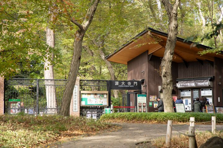 紅葉とバラが見頃♪深大寺・神代植物公園のカフェ「グリーンサロン」で癒しのひととき