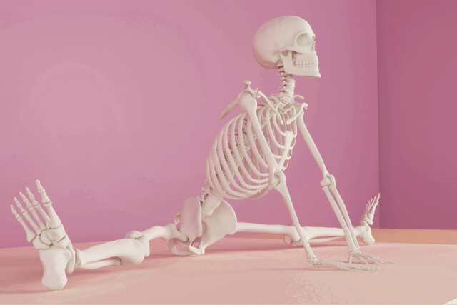 骸骨が柔軟している CANVA