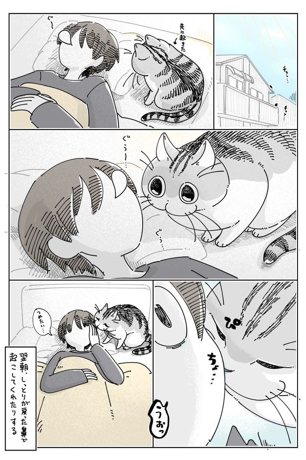 04 画像提供：キュルZ@kyuryuZ