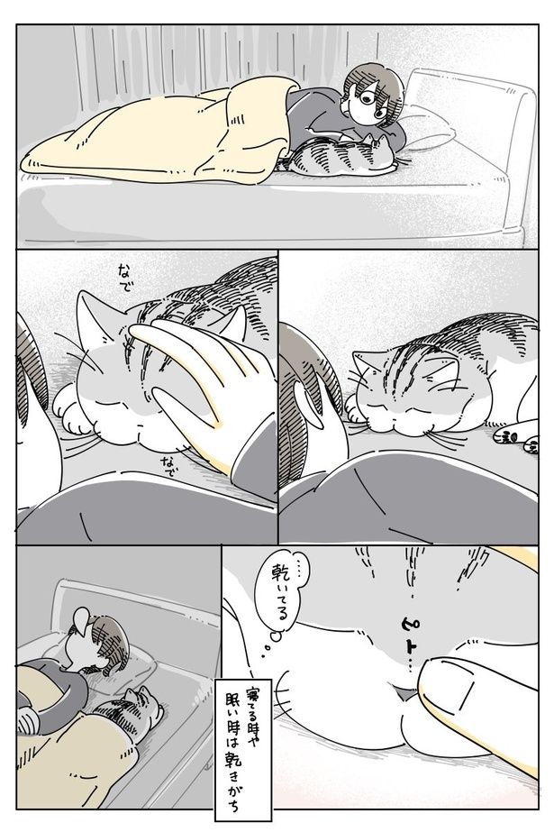 03 画像提供：キュルZ@kyuryuZ