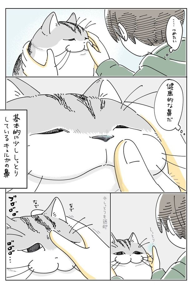 02 画像提供：キュルZ@kyuryuZ