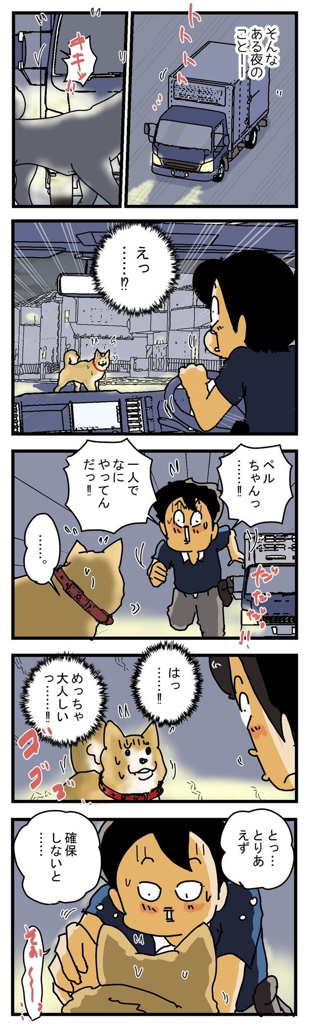 かみつきペルちゃん2 画像提供：(C)ゆきたこーすけ(@kosukeyukita) 