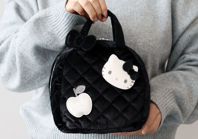 宝島社ムック付録HELLO KITTY × BRILMY 中身が見えて時短がかなう ズボラに優しいコスメポーチ BOOK VELOUR BLACK ver.2