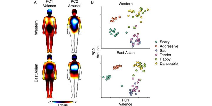 （左）西欧と中国の参加者の身体感覚マップ、（右）曲ごとの主成分スコア。ほとんど共通しているものの、細かい点では違いがある。
