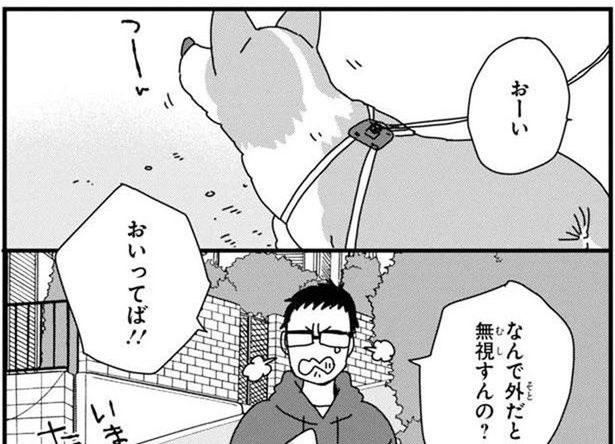 「なんで外だと無視するの？」犬にもオンとオフがあるらしい (C)らくだ／KADOKAWA
