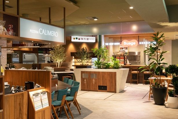 観葉植物や暖色の照明が癒やしの空間を演出